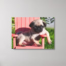 Suche nach fell leinwandbilder California