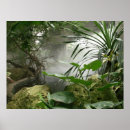 Suche nach tropical rainforest poster Plant