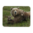 Suche nach babybär magnete Junge