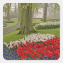 Suche nach keukenhof aufkleber Farbenfroh
