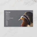 Suche nach ente visitenkarten Vogel