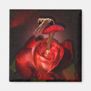 Suche nach ballerina magnete Leistung