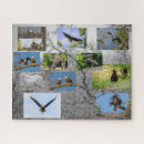 Suche nach adler puzzle Natur
