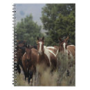 Suche nach mustang kleine notizbücher Gruppe