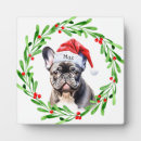 Suche nach bulldogge fotoplatten Franchise