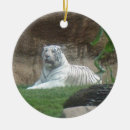 Suche nach bengalische katze ornamente Tier