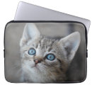 Suche nach farbbild laptop schutzhüllen Kätzchen