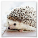 Suche nach diy poster Foto