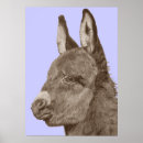 Suche nach donkey poster Farm animals