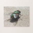 Suche nach flieger puzzle Insekten