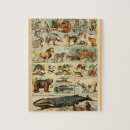 Suche nach säugetier puzzle Lebensraum