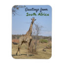 Suche nach cute magnete Giraffe