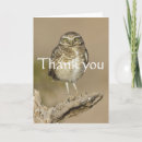 Suche nach vogelbeobachtung karten Tierwelt