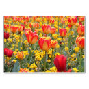 Suche nach tulpe tischkarten Rot