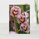 Suche nach orchideen geburtstag karten Hübsch