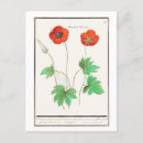 Suche nach antike botanische illustration poster Elegant