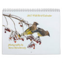 Suche nach vogel kalender Wild lebende tiere
