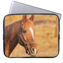 Suche nach pferd laptop schutzhüllen Cowboy