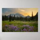 Suche nach gary poster Landschaft