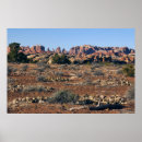 Suche nach nadeln poster Natur