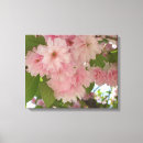 Suche nach kirschblüte leinwandbilder Rosa