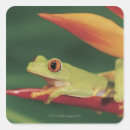 Suche nach roter frosch aufkleber Tier