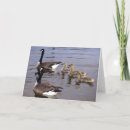 Suche nach kanadische karten Gans