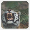 Suche nach panthera aufkleber Horizontal