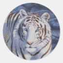 Suche nach weißer tiger aufkleber Wildtiere