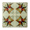 Suche nach kolibris fliesen Vögel