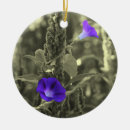 Suche nach wind ornamente Natur