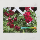 Suche nach gestern postkarten Gitter