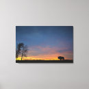 Suche nach büffel leinwandbilder Natur
