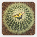 Suche nach kakteen aufkleber Pflanze