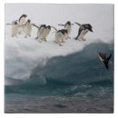 Suche nach pinguin fliesen Wild lebende tiere