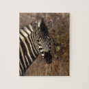 Suche nach krug puzzle Afrika