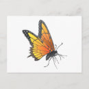Suche nach monarch Bunt