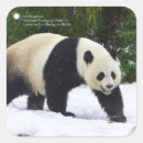 Suche nach pandas aufkleber China