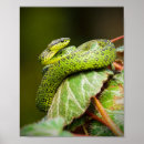 Suche nach vip poster Natur