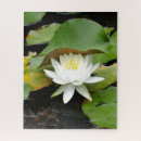 Suche nach lilie puzzle Wasser