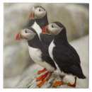 Suche nach schneiden fliesen Schneider