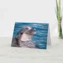 Suche nach delphin karten Tiere