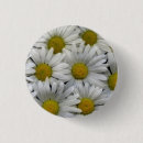 Suche nach gänseblümchen buttons Weiß