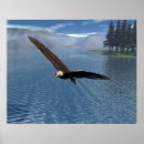 Suche nach adler poster Berge