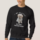 Suche nach maltipoo kleidung Hund