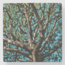 Suche nach eiche untersetzer Braun