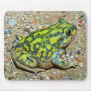 Suche nach grüner frosch mousepads Wild lebende tiere