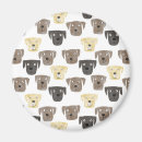 Suche nach labrador retriever hund magnete Welpe