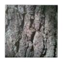 Suche nach barke fliesen Baum