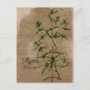 Suche nach herb postkarten Pflanze